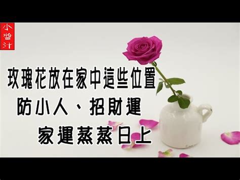 種玫瑰 風水|玫瑰擺放：風水大考驗